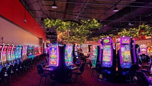 A row of brightly lit slot machines in a casino with a red wall and hanging plants.