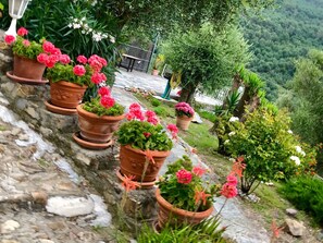 Property grounds - Casa Belvedere by Interhome (Diano Castello)