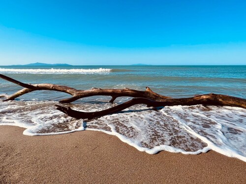 Wohnung Alborense by Interhome