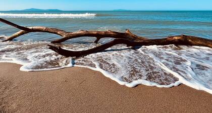 Wohnung Alborense by Interhome