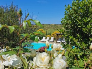 Pool - Capannacce by Interhome (Cinigiano)