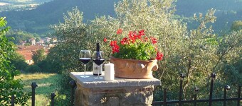 Fichtenhaus mit Schwimmbad zwischen Florenz und by Interhome