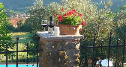 Fichtenhaus mit Schwimmbad zwischen Florenz und by Interhome