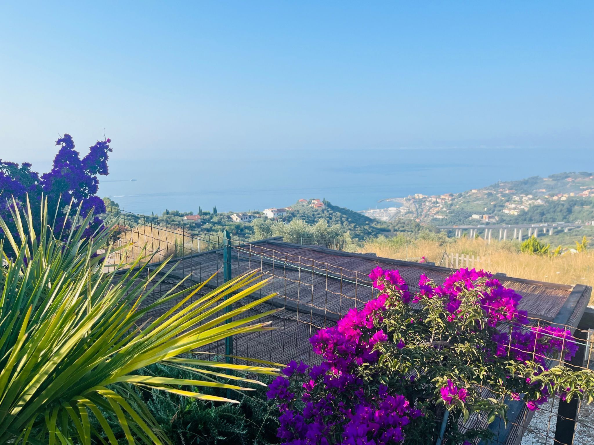 Terrain de l’hébergement 