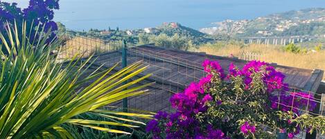 Terrain de l’hébergement