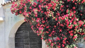 Luokittelematon kuva, 2 kautta 53, painike