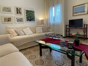 Televisión 