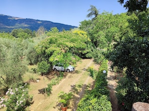 Property grounds - 'Fasan' mit Balkon by Interhome (Santa Fiora)