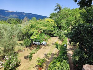 Property grounds - 'Allodola' by Interhome (Santa Fiora)