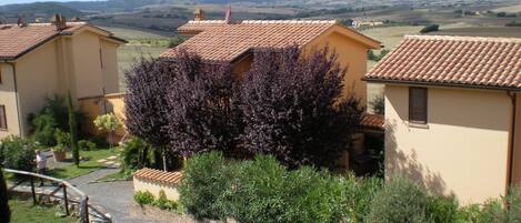 المنطقة المحيطة بالمنشأة