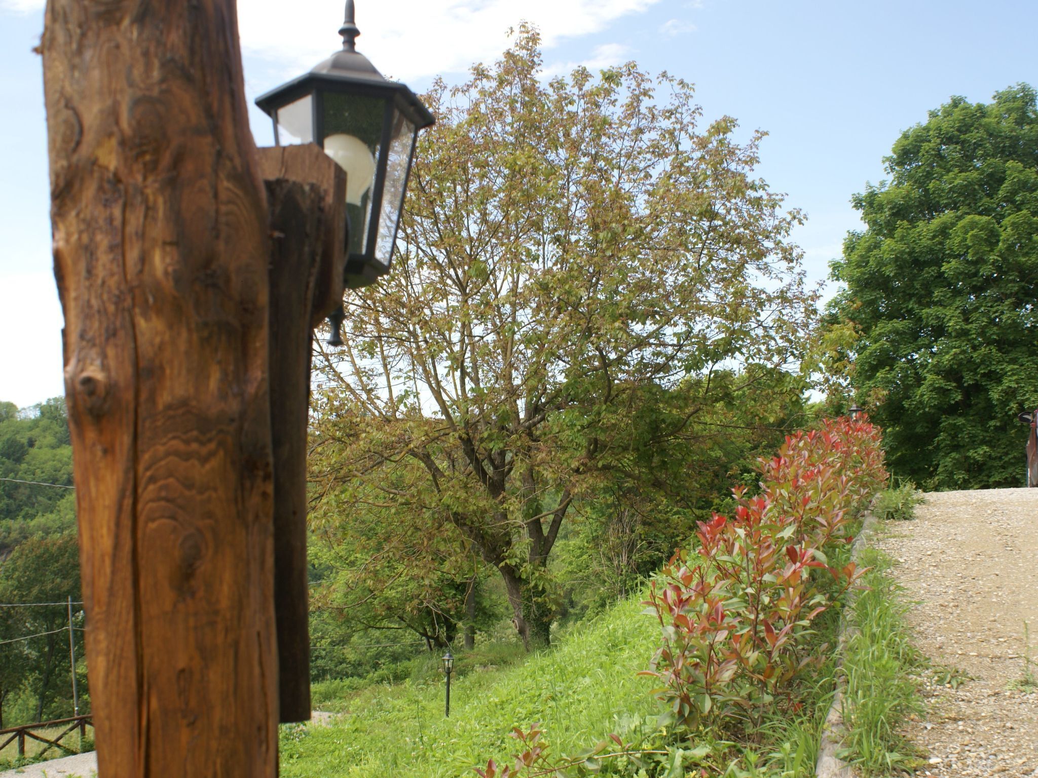 Parco della struttura