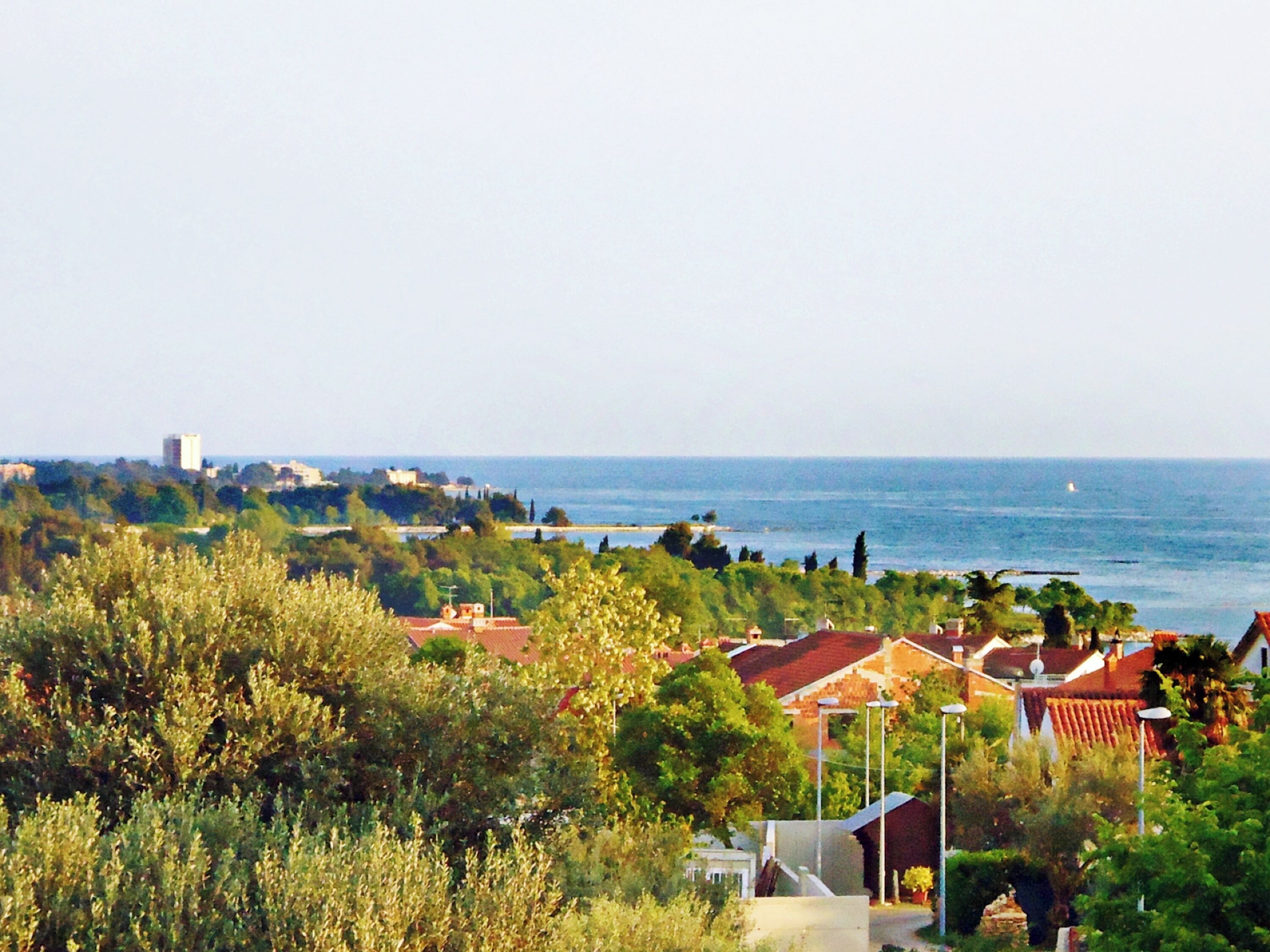 A coastal town with buildings, trees, and a view of the sea.