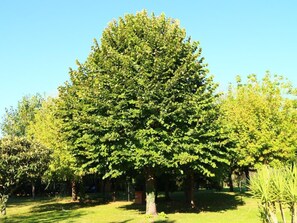 Property grounds - in Cascina mit privatem Parkplatz by Interhome (Cascina)