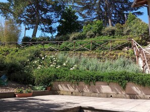 Property grounds - Flache Kornblume by Interhome (Terranuova Bracciolini)