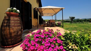 Immagine non classificata, 3 di 36, pulsante