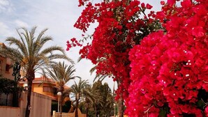 Property grounds - EDF. ESTRELLA 17 by Interhome (El Carmoli)