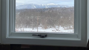 Una ventana con vista a montañas nevadas y un bosque.