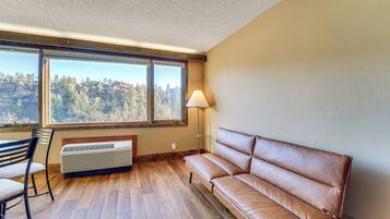 Apartment (0 Bedroom) | Interior