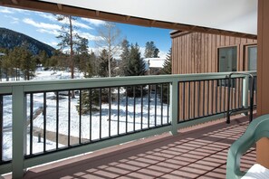 Property grounds - Wild Irishman 2 bed 1.5 bath deluxe On Shuttle Route Close to Everything! (Keystone)