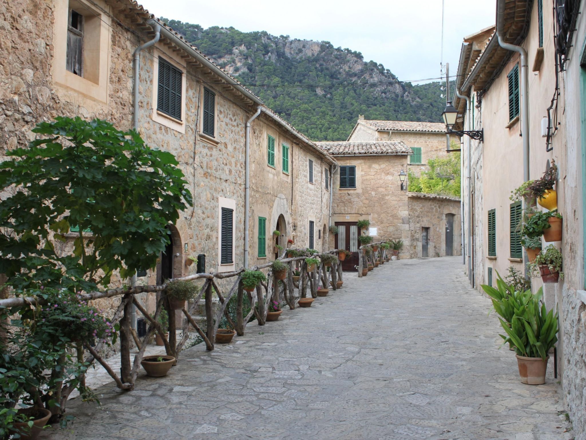 Terrain de l’hébergement 