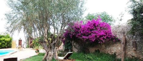 Overnatningsstedets område