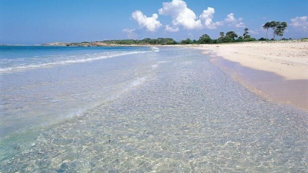 Strand