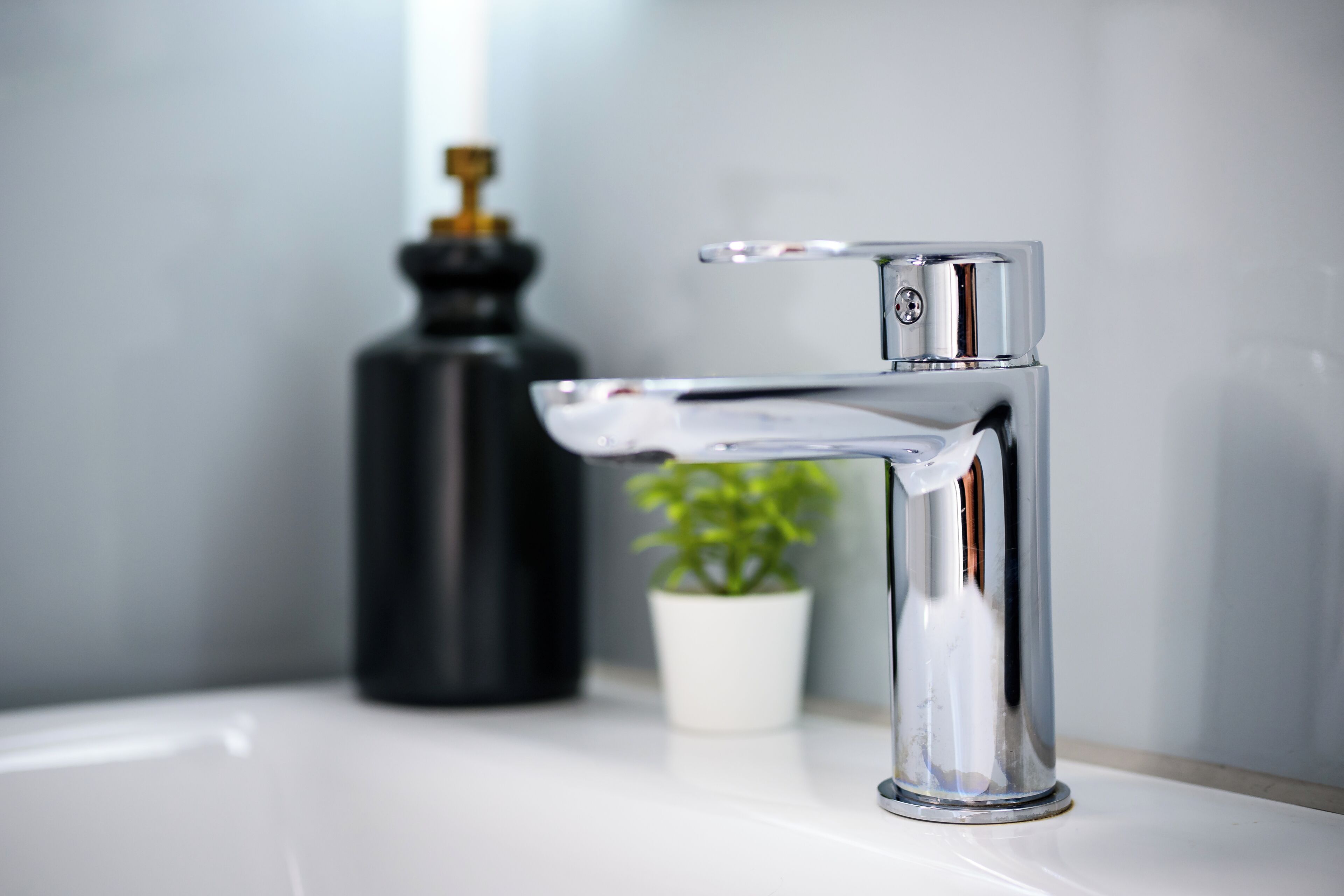 Un bagno moderno con un rubinetto cromato, un dispenser per sapone nero e una pianta in vaso.