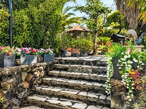 A stone staircase leading up to a house surrounded by lush greenery and potted plants. - La Palma by Interhome (El Paso)