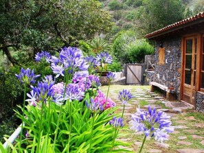 Property grounds - Freistehendes Ferienhaus La Maleza in La Palmita by Interhome (Las Rosas)