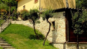 Unclassified image, 5 of 22, button - Flacher Flieder by Interhome (Cagli)