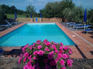 Pool - Wohnung Martius by Interhome (Siena)