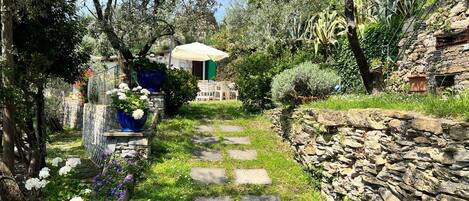 Terrein van de accommodatie