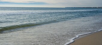 Dauphin Luv - Beach Club #201 4 Bedroom Condo