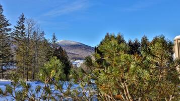 House, 1 Bedroom | Property grounds