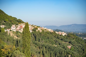House - Villa Tzintzola in Kato Garouna (Corfu)