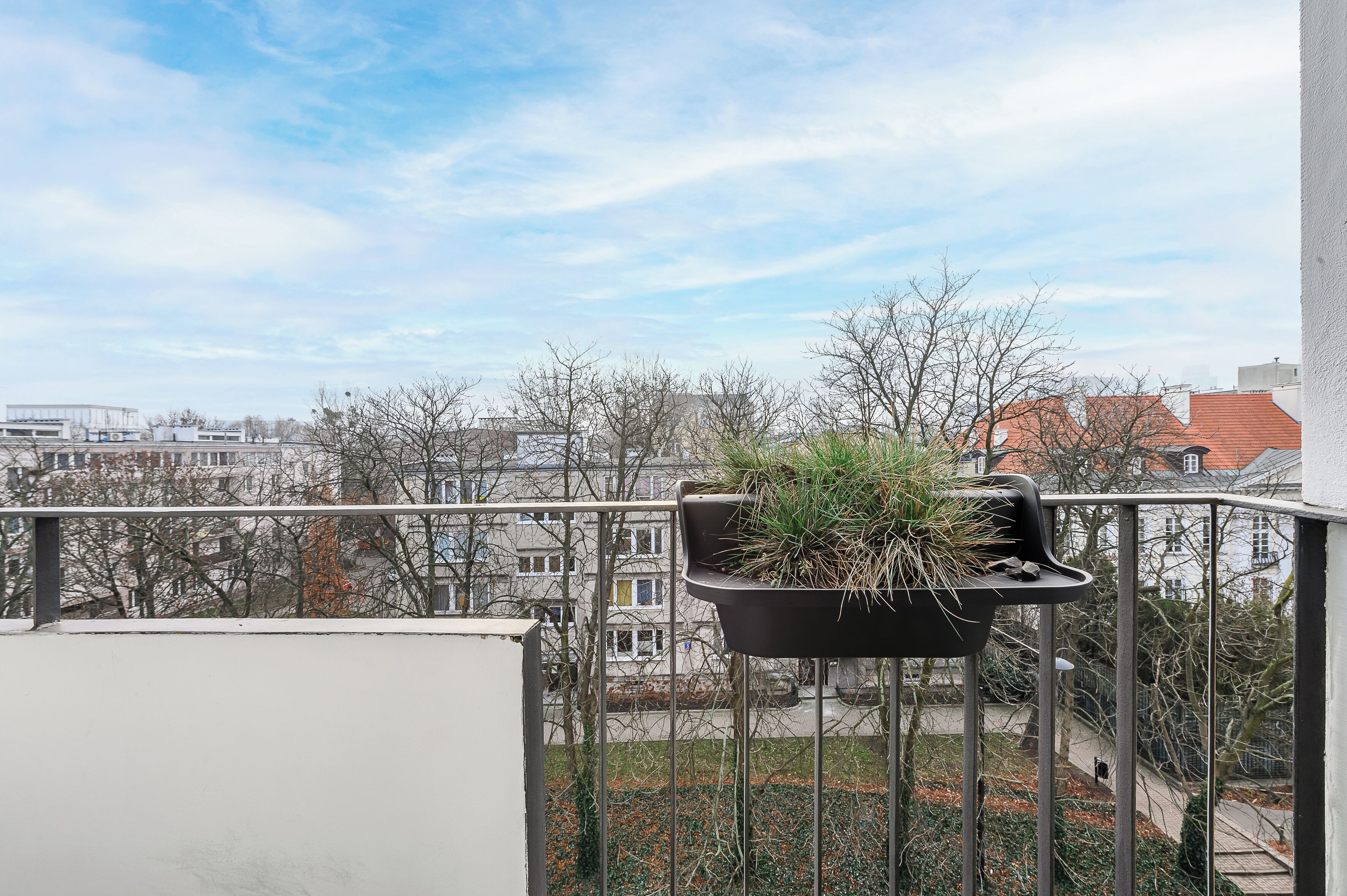 Un balcón con planta en maceta, barandilla y vistas a edificios y árboles.