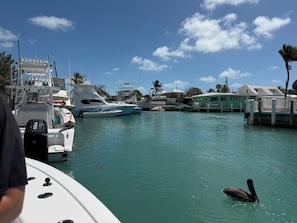Marina - Waterfront Remodeled Home w/ Private 35’ Boat Dock  - at the foot of the iconic 7-Mile Bridge. Cozy house, water views, outdoor entertaining, private XL hot tub,  walk to Sunset Grill for pool. Perfect for fishing, boaters, divers & sunset lovers. (Marathon)