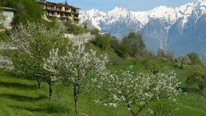 Unclassified image, 4 of 55, button - Wohnung 'Stella del Garda' by Interhome (Manerba)
