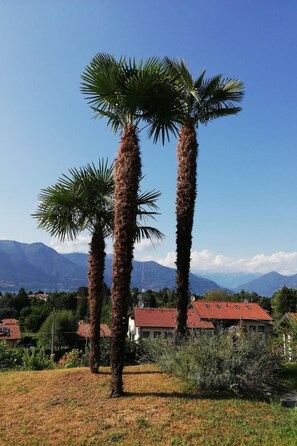 Property grounds - Residenz Nasca by Interhome (Castelveccana)