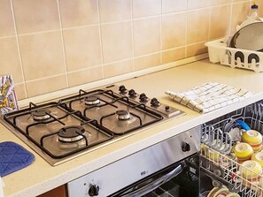 A kitchen with a gas stove, a dish rack, and a dishwasher. - "Casa Bella Vista" by Interhome (Stresa)