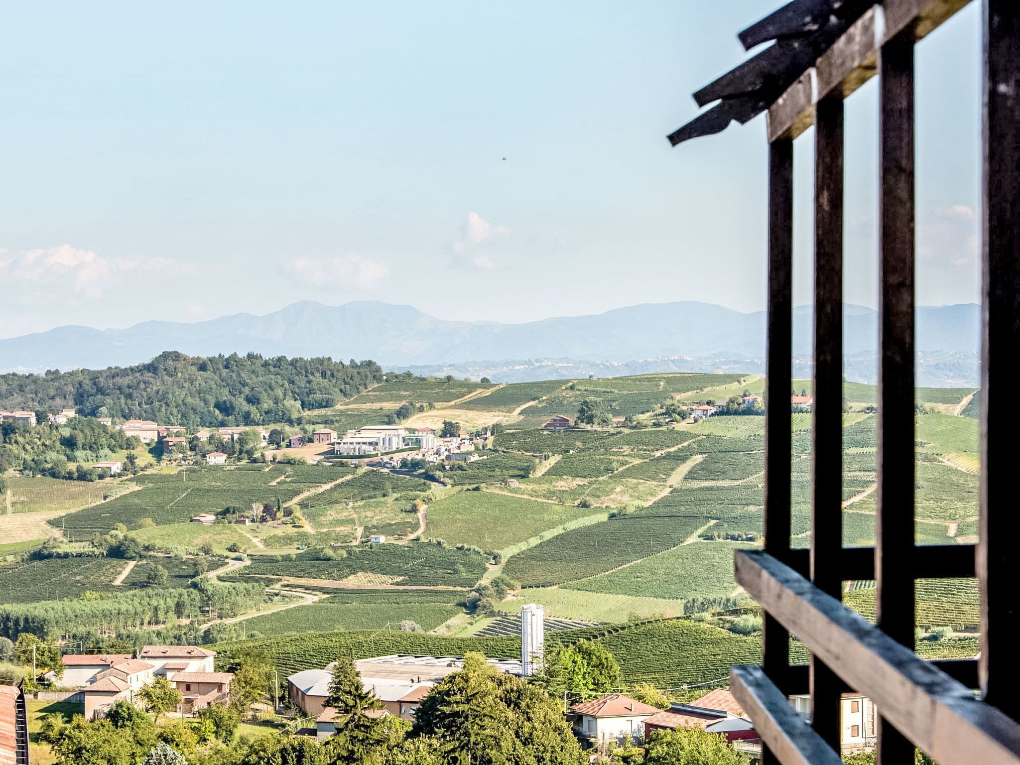 A vineyard landscape with buildings and a clear sky.