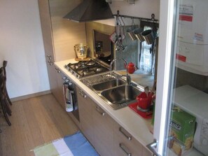 Fridge, microwave, oven, cookware/dishes/utensils - Niederwaldhaus in Solto Collina by Interhome (Fonteno)