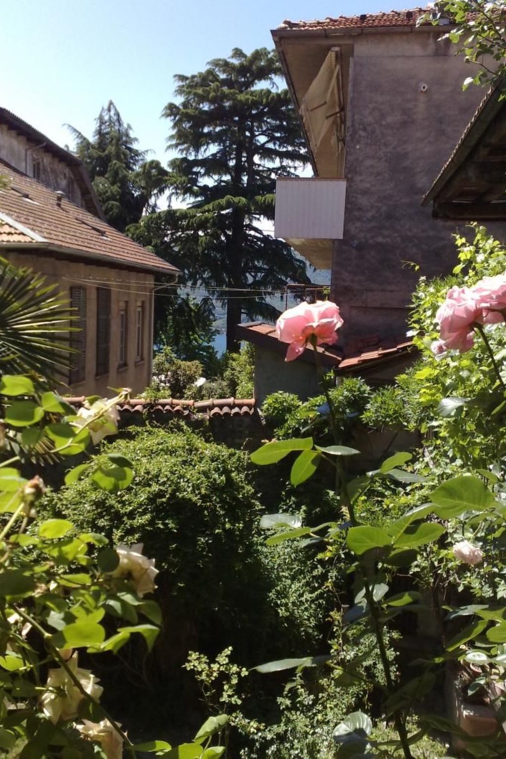 Àrea exterior de l'allotjament