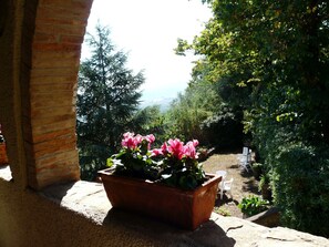 Terrace/patio - Villa 'Cimpoli casa' mit Garten und Grill by Interhome (Chianni)