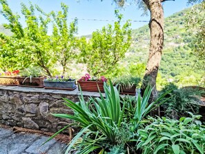 A stone wall with potted plants and a tree. - Ein Garten auf Camogli von Holiday World by Interhome (Camogli)