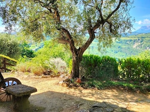 Property grounds - Charmantes Bauernhaus in Penna San Giovanni by Interhome (Cessapalombo)