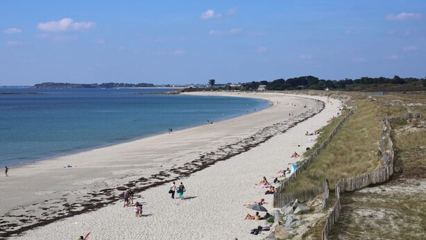 Une plage avec un rivage sablonneux, une clôture en bois et un ciel bleu dégagé.