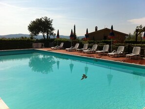 Pool - Pieve pomaia trilo flach by Interhome (Castellina Marittima)