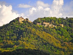 Miscellaneous - La Casina della Sassa by Interhome (Castellina Marittima)