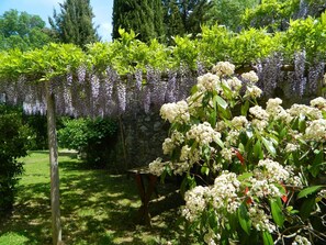 Property grounds - Casa Letizia mit toller Aussicht by Interhome (Castiglione d'Orcia)